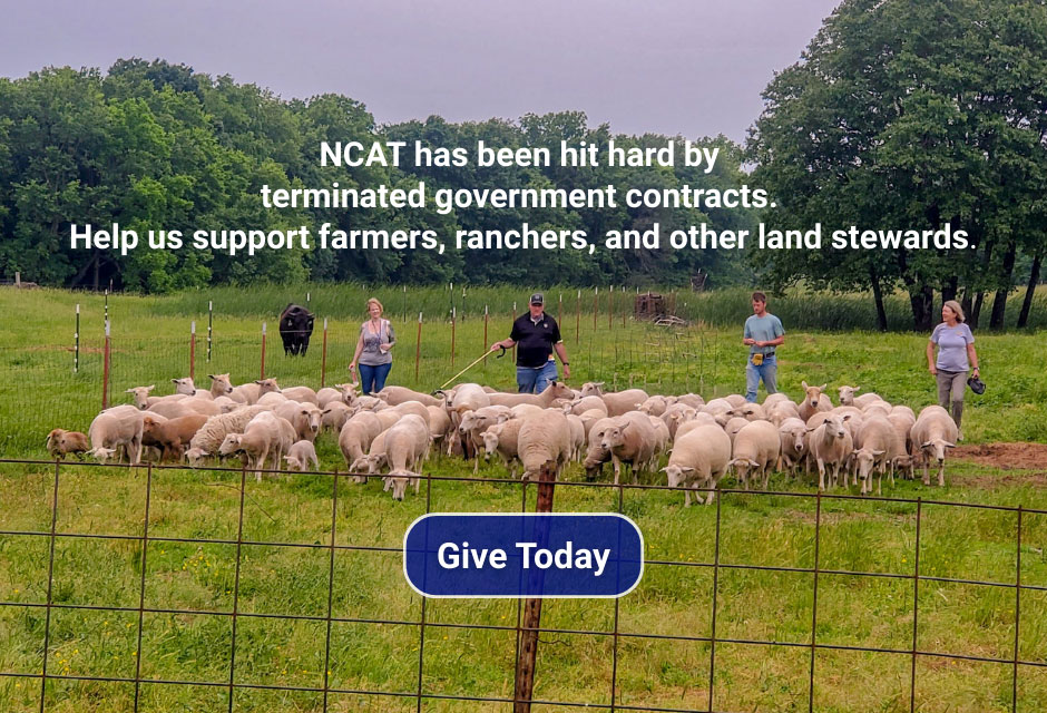 Fall 2025 Campaign Popup Image