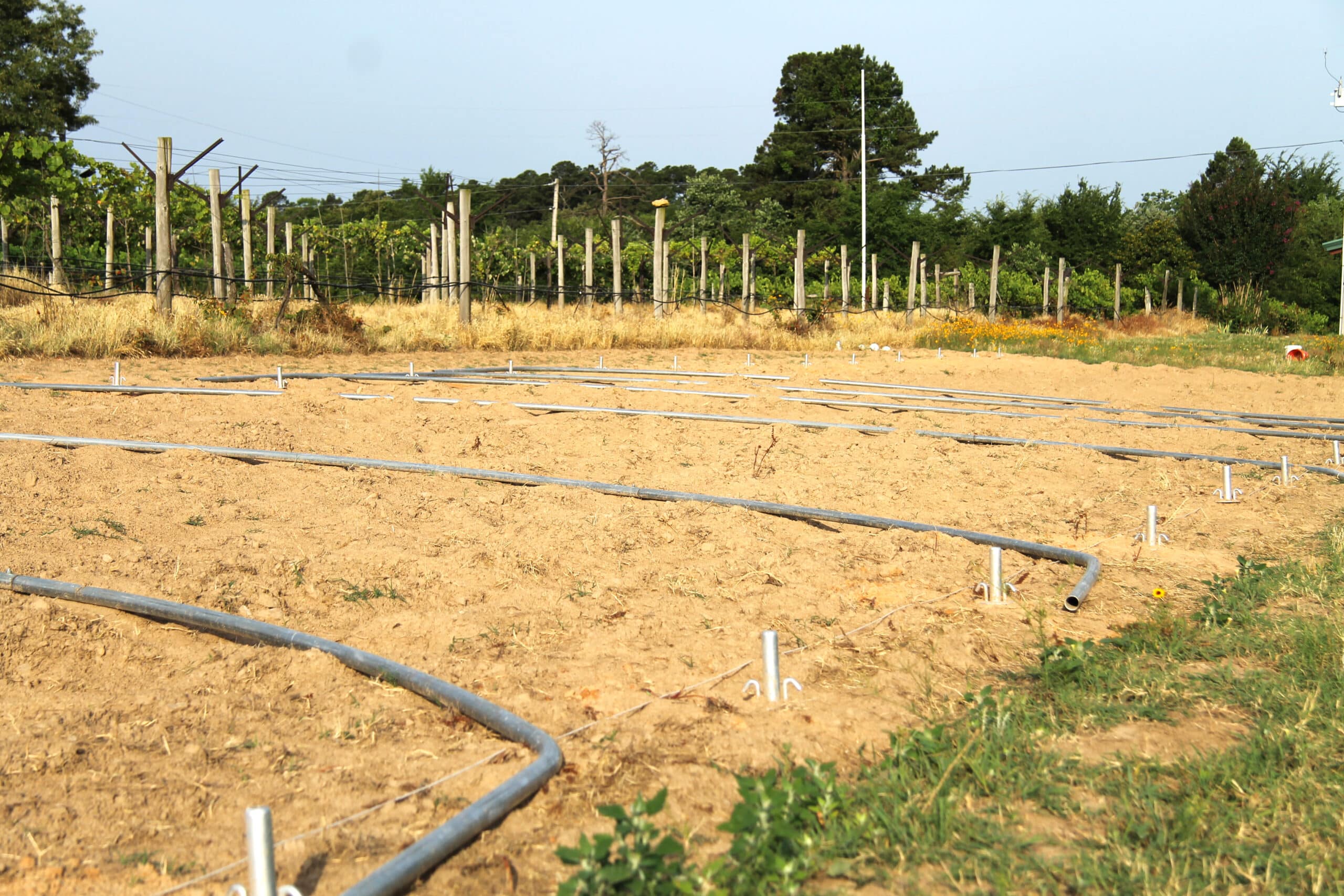 Site prepared for high tunnel construction