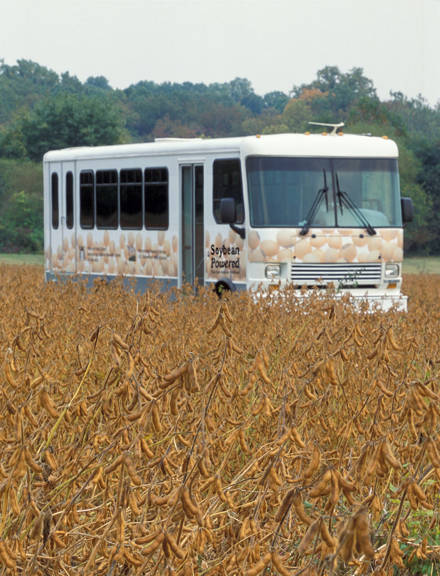 biodiesel bus