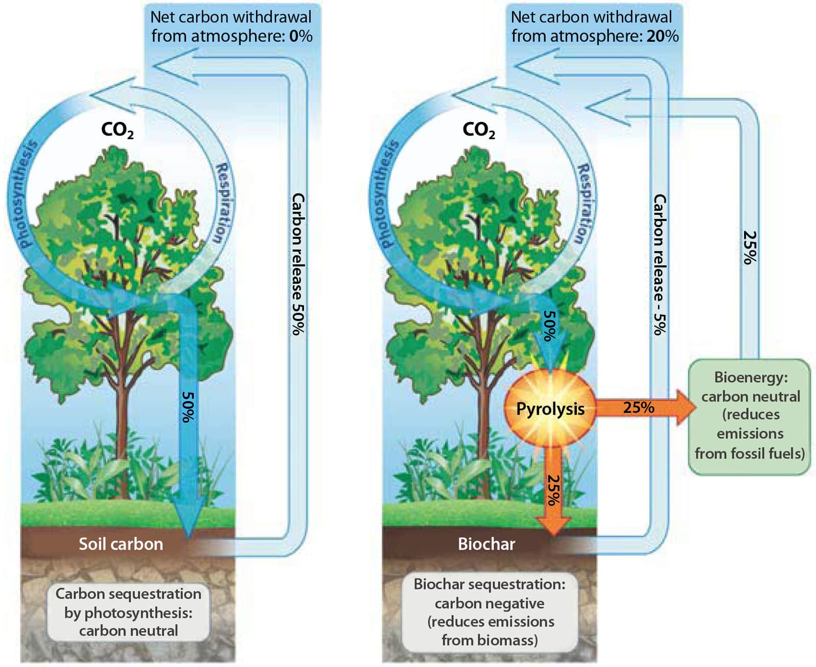 Figure 1 showing biomass pyrolysis
