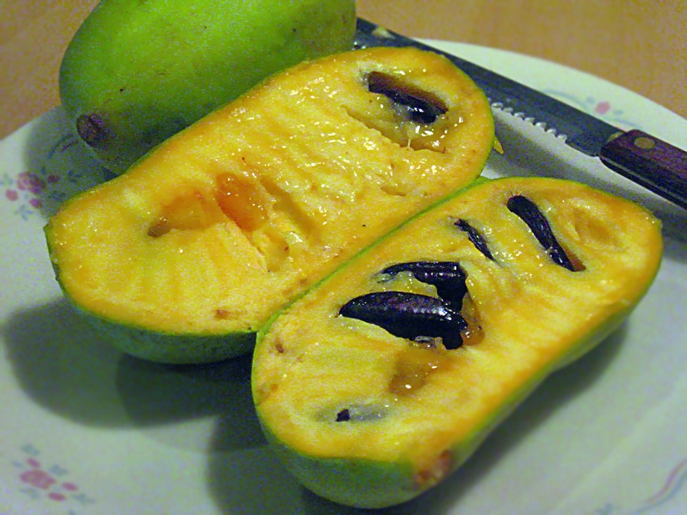 Pawpaw cut open