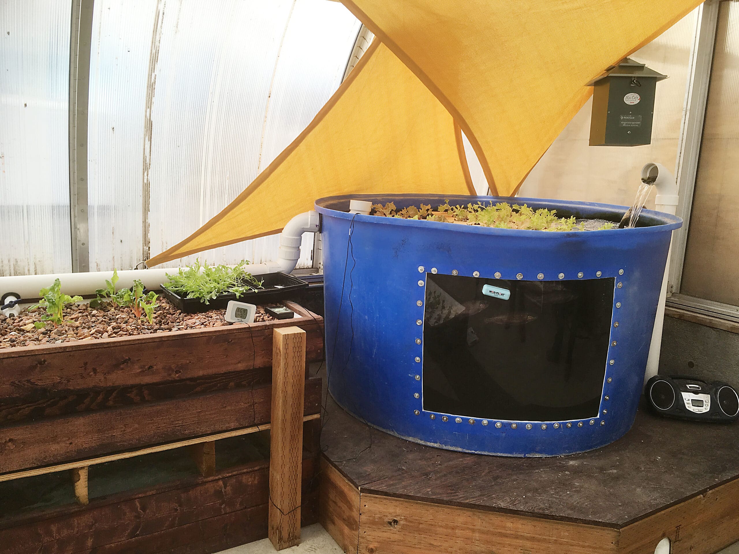 Aquaponics tank