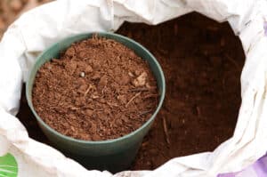 sphagnum peat moss