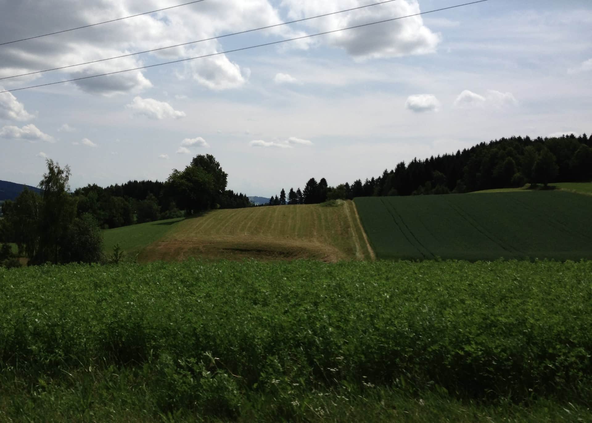 conservation crop rotation