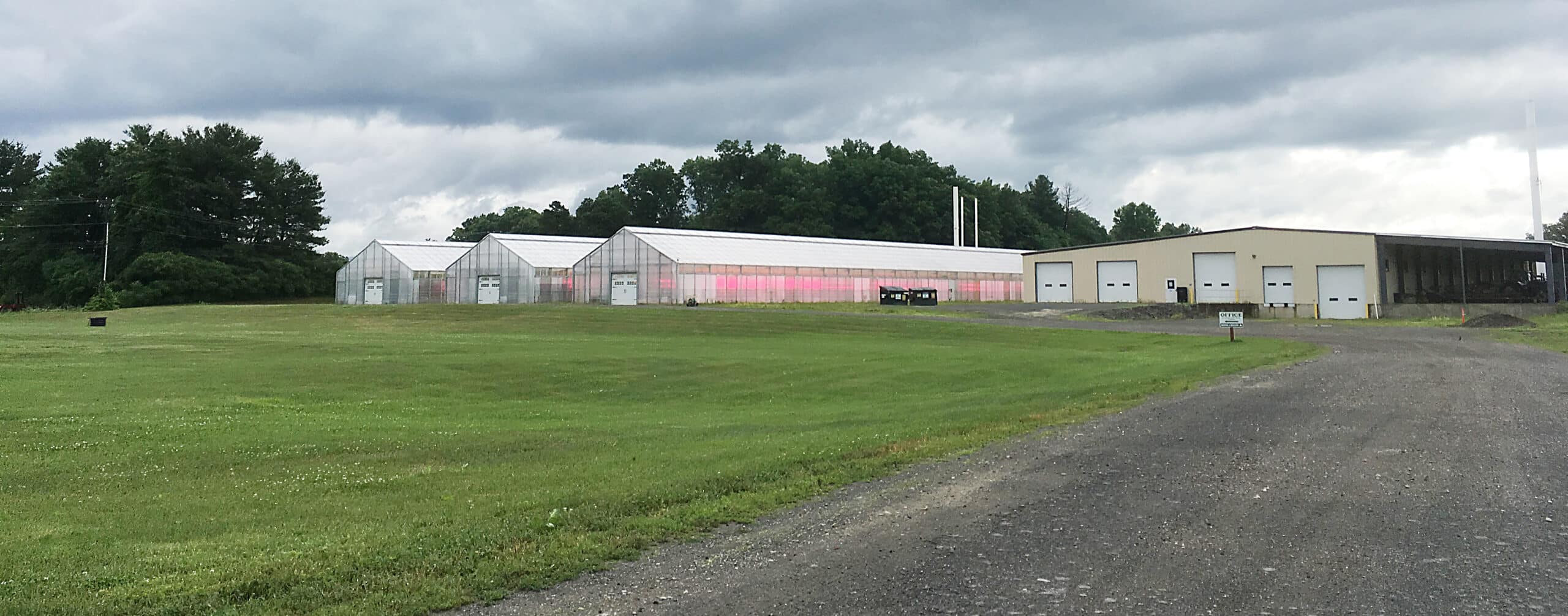 Approaching Five College Farms early in the morning, it is easy to see the red LED grow lights that nourish the plants.