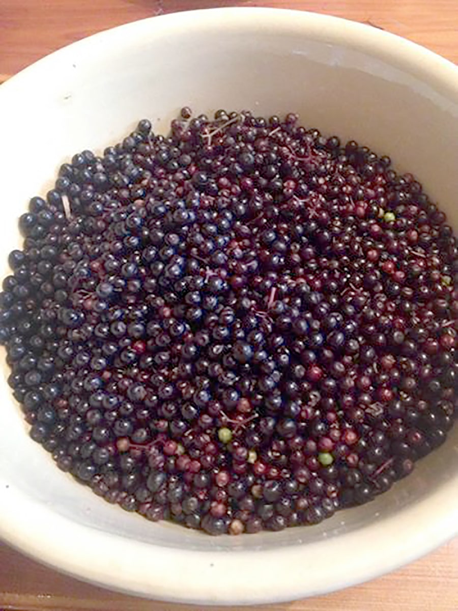 elderberries in a bowl