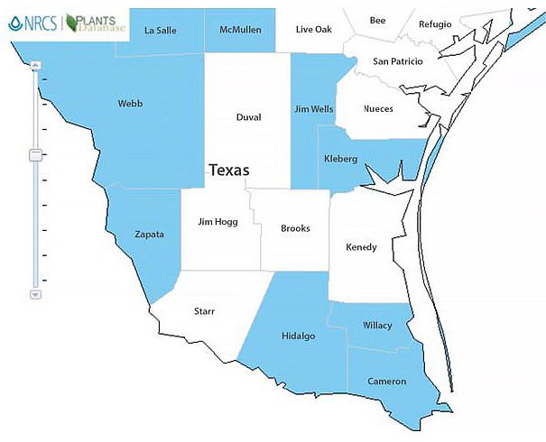map of known distribution of bur clover in South Texas