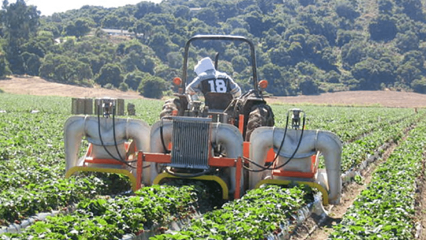 farmer on a tractor in a field of row crops
