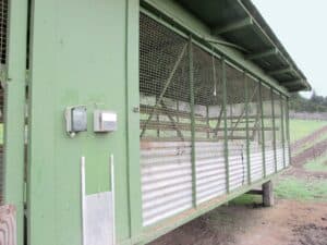 poultry housing