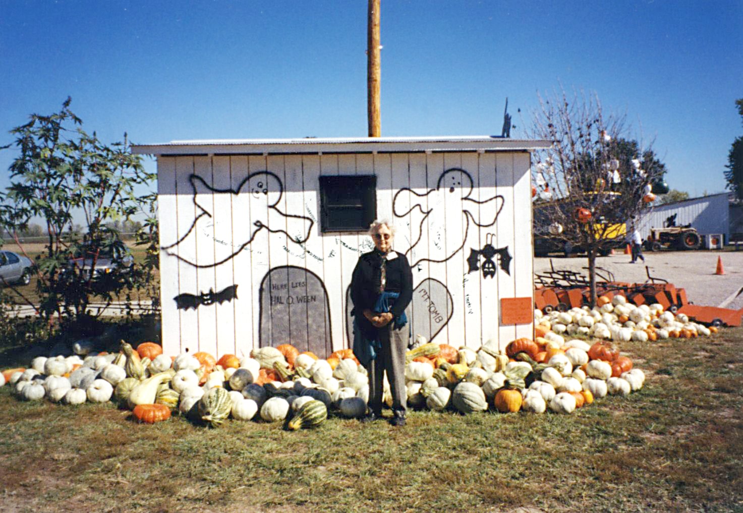Various types of white pumpkins.