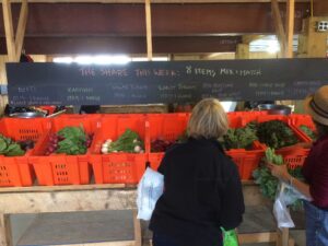 Customers selecting products from harvest crates.